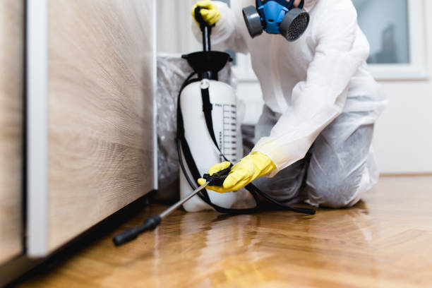 Best Exterminator Services  in Saginaw, TX